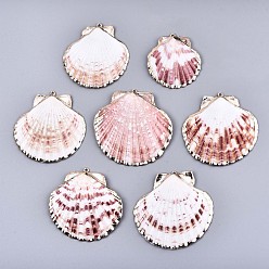 Colorful Electroplate Sea Shell Pendants, with Light Gold Iron Findings, Colorful, 40~60x35~60x3~6mm, Hole: 1.6mm