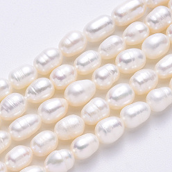 Seashell Color Natural Cultured Freshwater Pearl Beads Strands, Rice, Seashell Color, 6.5~7.5x6.5~15, hole: 0.8mm, about 19~22pcs/strand, 6.89 inch~7.09 inch(17.5cm~18cm)