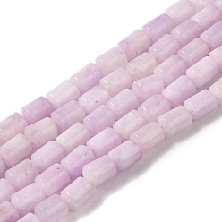 чертополох Бусины из натурального белого нефрита, колонка, окрашенная и подогревом, чертополох, 5.6~6.3x4.2~4.6 мм, отверстие : 0.9 мм, около 65 шт / нитка, 14.96~15.12 (38~38.4 см)