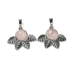 Розовый Кварц Природного розового кварца подвески, стойки покрытие латунь лист прелести, платина, без кадмия и без свинца, 22x27x7 мм, отверстие : 8x5 мм