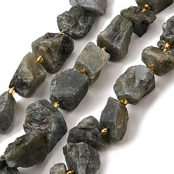 Лабрадорита Необработанные необработанные натуральные лабрадоритные бусины, самородки, с бисером, 14~28x15~25x10~27 мм, отверстие : 1.2~1.4 мм, около 9~10 шт / нитка, 7.76''~8.07'' (19.7~20.5 см)