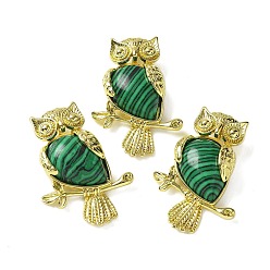 Малахит Синтетического малахита подвески, латунные совьи амулеты, золотые, стойки покрытие, без кадмия и без свинца, 36.5x26.5x7.5 мм, отверстие : 6.5x4.5 мм
