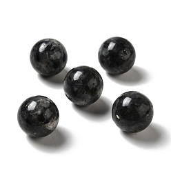 Larvikite Perles de larvikite naturelles, pas de trous / non percés, ronde, 25~25.5mm