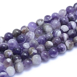 Amethyst Natural Amethyst Beads Strands, Round, 8~8.5mm, Hole: 0.8mm, about 50pcs/strand, 15.55 inch(39.5cm)