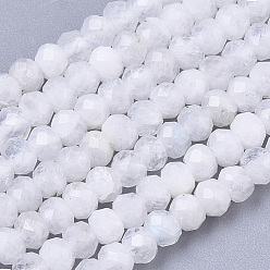 Rainbow Moonstone Natural Rainbow Moonstone Beads Strands, Rondelle, Faceted, 3x2mm, Hole: 0.7mm, about 185pcs/Strand, 15.55 inch(39.5cm)