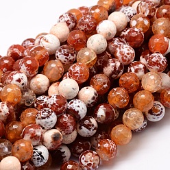 Coral Dyed Natural Agate Faceted Round Beads Strands, Coral, 14mm, Hole: 1mm, about 28pcs/strand, 14.5 inch