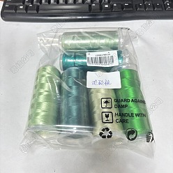 (52) Непрозрачная лаванда 6 рулоны 6 цвета велюровые нитки для вязания крючком, разноцветные, 0.3 мм, 1600 м / рулон, 1 рулон / цвет