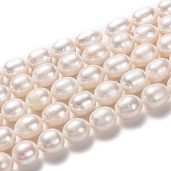 Bisque Natural Cultured Freshwater Pearl Beads Strands, Rice, Bisque, 12~14x10~11mm, Hole: 0.6mm, about 29pcs/strand, 13.78 inch(35cm)