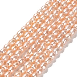 Light Salmon Natural Cultured Freshwater Pearl Beads Strands, Rice, Grade 4A, Light Salmon, 2.5~3x4~4.5mm, Hole: 0.5mm, about 91pcs/strand, 14.69''(37.3cm)