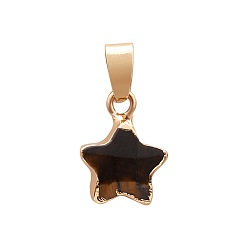 Tiger Eye Natural Tiger Eye Faceted Star Charms, with Golden Plated Brass Findings, 13x13mm