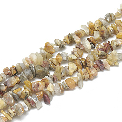 Natural Agate Natural Agate Beads Strands, Chip, 5~11x3~9x1~9mm, Hole: 1mm, about 200~300pcs/strand, 33.8 inch