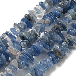Kyanite Natural Kyanite Chip Beads Strands, 5~13x4~11x1.5~8mm, Hole: 0.6mm, 31.65''(80.4cm)