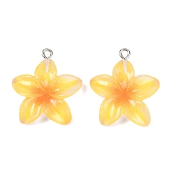 Золотистый Прозрачные смоляные подвески, красный жасмин, с железными петлями и блестящей пудрой, золотые, 27.5x24.5x6 мм, отверстие : 2 мм