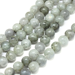 Labradorite Natural Labradorite Beads Strands, Round, 10mm, Hole: 1.4mm, about 38pcs/Strand, 15.75 inch(40cm)