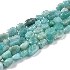 Flower Amazonite Natural Amazonite Beads Strands, Nuggets, Tumbled Stone, 5~8.5x5.5~7x3.5~4mm, Hole: 0.7mm, about 57pcs/strand, 15.2 inch(38.6cm)
