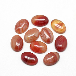 Red Natural Striped Agate/Banded Agate Cabochons, Dyed, Oval, Red, 18x13x5mm