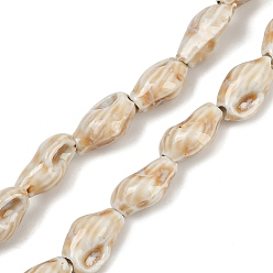 Морская Ракушка Фарфоровые бусины ручной работы серии «Океан», раковина, цвет морской раковины, 15~16x9~10x6~7.5 мм, отверстие : 2 мм, около 25 шт / нитка, 14.17'' (36 см)