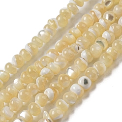 Pale Goldenrod Natural Trochus Shell Beads Strands, Round, Pale Goldenrod, 4~4.5x4mm, Hole: 0.5mm, about 91~93pcs/strand, 15.35~15.55''(39~39.5cm)
