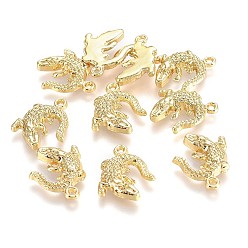 Настоящее золото 14K Подвески из сплава , Тема океана, без свинца, без никеля и без кадмия, Крокодил / Аллигатор, реальный 18 k позолоченный, 17x13.5x3 мм, отверстие : 1 мм
