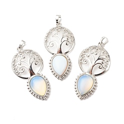 Opalite Opalite große Anhänger, mit platinen Messing Zubehör  , cadmiumfrei und bleifrei, Baum mit Träne, 55x28x8 mm, Bohrung: 4.8x7.5 mm