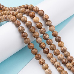 Перу Натуральный камень майфанит / майфан, окрашенные, круглые, Перу, 8 мм, отверстие : 1.2 мм, около 47 шт / нитка, 15.55'' (39.5 см)