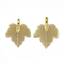 Golden Plated Iron Pendants, Electroplate Natural Leaf, Grape Leaf, Golden Plated, 35x27x1.5mm, Hole: 3x5.5mm
