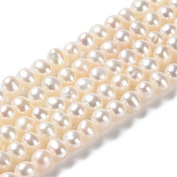 PapayaWhip Natural Cultured Freshwater Pearl Beads Strands, Potato, Grade 3A++, PapayaWhip, 4~5x3.8~4.2mm, Hole: 0.5mm, about 100pcs/strand, 15.43 inch(39.2cm)