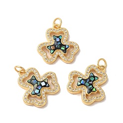 Черный Клеверная стойка, латунные подвески с цирконием, с эмалью и ракушкой, долговечный, без свинца и без кадмия, реальный 18 k позолоченный, с прыжковых колец, чёрные, 19x19x3 мм, отверстие : 3 мм