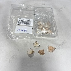 Персиковый Слойка 15 шт. Подвески из натуральных ракушек, с латунной кромкой, подвески в форме ракушек, золотой свет, розовые, 15.5~20x18~22x5~7 мм, отверстие : 1.8 мм