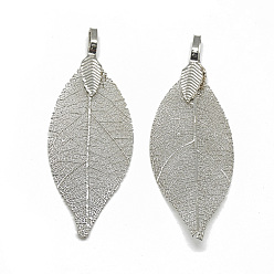 Platinum Plated Iron Big Pendants, Electroplate Natural Leaf, Leaf, Platinum Plated, 52~53x19~20x1.5mm, Hole: 3x5.5mm