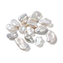 WhiteSmoke Natural Keshi Pearl Cultured Freshwater Pearl Beads, Baroque Pearls, Undrilled/No Hole, Nuggets, WhiteSmoke, 10.5~18.5x7.5~11x3~6mm