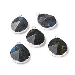 Labradorite Natural Labradorite Pendants, with Brass Findings, Faceted, Drop, Silver, 31~35x20~25x7~9mm, Hole: 2.5mm