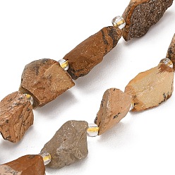 Picture Jasper Natural Picture Jasper Beads Strands, Raw Rough, Nuggets, with Seed Beads, 13~23x12~16x6~13mm, Hole: 1mm, about 11~13pcs/strand, 7.44''(18.9cm)~7.99''(20.3cm)