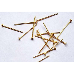 Золотой Железные штыри с плоской головкой, без кадмия, без никеля и без свинца, золотые, 16x0.75~0.8 мм, 20 датчик, Около 12900 шт / 1000 г, Руководитель: 2 mm