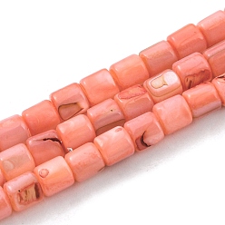 Salmon Natural Freshwater Shell Beads Strands, Dyed, Column, Salmon, 4~5.5x5mm, Hole: 0.6mm, about 74~75pcs/strand, 14.76~14.96 inch(37.5~38cm)