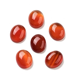 Красный Агат Окрашенные и нагретые натуральные сердолики-кабошоны, класса AB, овальные, 12x10x4.5 мм