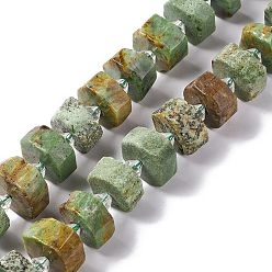 Green Opal Natural Green Opal Beads Strands, Faceted, Flat Round, 14~15x14~15x7~7.5mm, Hole: 2mm, about 29~30pcs/strand, 14.02~14.37 inch(35.6~36.5cm)