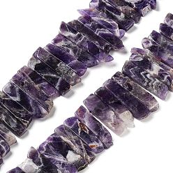 Amethyst Natural Amethyst Beads Strands, Top Drilled Beads, Rectangle, 24~62x8~14x4~9mm, Hole: 1.8mm, about 34~39pcs/strand, 15.04''~15.51''(38.2~39.4cm)