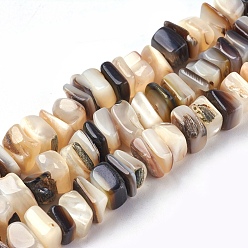 Seashell Color Freshwater Shell Beads Strands, Square Chip, Seashell Color, 8~11x6~8x2~5mm, Hole: 0.6mm, 15.7~15.9 inch(40~40.5cm)