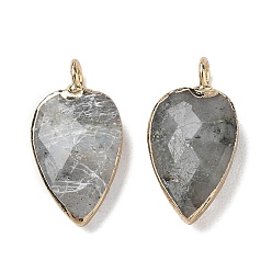 Labradorite Natural Labradorite Pendants, with Golden Plated Brass Edge Loops, Faceted, Heart Charms, 23~23.5x12~12.5x5.5mm, Hole: 3mm