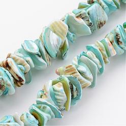 Sky Blue Natural Shell Bead Strands, Dyed, Nuggets, Sky Blue, 10~20x8~12x3~6mm, Hole: 1mm, about 15.7 inch