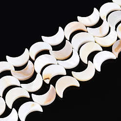 Морская Ракушка Естественных пресноводных оболочки бисер нитей, луна, цвет морской раковины, 11x8x2~3 мм, отверстие : 1 мм, около 33 шт / нитка, 14.92~15.08 (37.9~38.3 см)