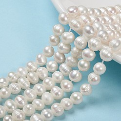 Seashell Color Natural Cultured Freshwater Pearl Beads Strands, Potato, Seashell Color, 6~7x7~8.5mm, Hole: 0.5mm, about 26pcs/strand, 7.09 inch(18cm)