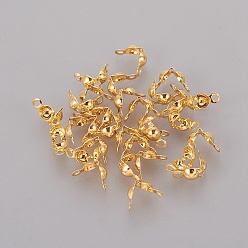 Золотой Железный шарик советы, Калотте заканчивается, крышка раскладушки, колпачки железа конца, открытая раскладушка, без кадмия, без никеля и без свинца, золотые, 7.5x4 мм, отверстие : 1 мм, внутренний диаметр: 3 мм, Около 671 шт / 50 г