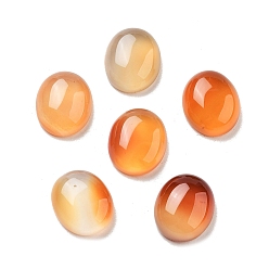 Натуральный Агат Природные кабошон агата, овальные, 12x10x4.5 мм