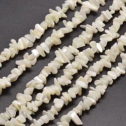White Shell Natural White Mother of Pearl Shell Chip Bead Strands, Shell Shards, 5~15x5~8mm , Hole: 1mm, about 31.5 inch