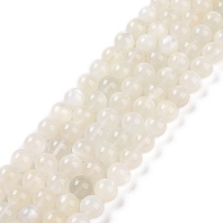 White Natural White Moonstone Beads Strands, Grade AB, Round, White, 8mm, Hole: 1mm, about 49pcs/strand