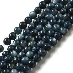 Prussian Blue Natural Freshwater Shell Beads Strands, Round, Dyed, Prussian Blue, 3mm, Hole: 0.5mm, about 124~132pcs/strand, 14.96''(38cm)