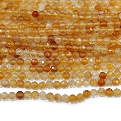 Citrine Natural Citrine Beads Strands, Round, Faceted, 3mm, Hole: 0.5mm, about 135pcs/strand, 15.3 inch(39cm)