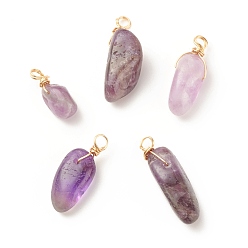Amethyst Natural Amethyst Pendants, Twisted with Golden Tone Copper Wire, Chip, 17~29x8~10x5.5~9mm, Hole: 2.5~3.2mm
